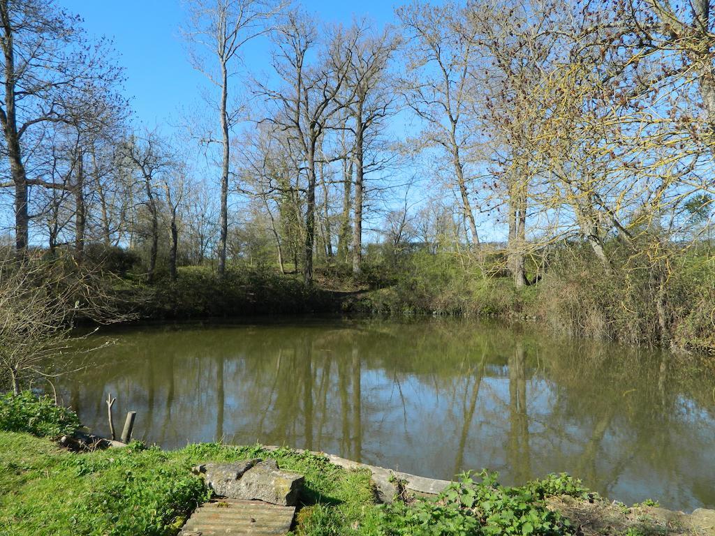 Saint-Pierre-les-Bois Meubles De Tourisme La Reserve מראה חיצוני תמונה